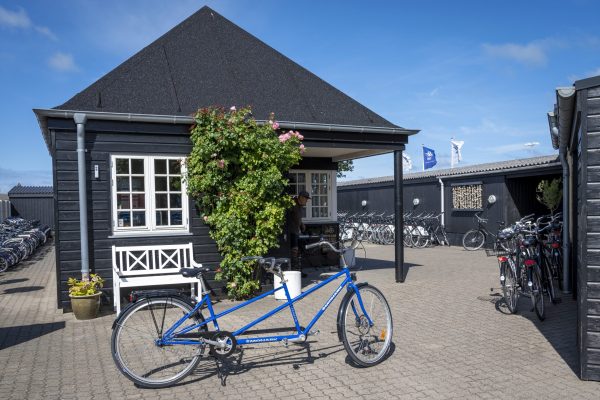Skagen Cykeludlejning 13